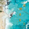 T3M 119204